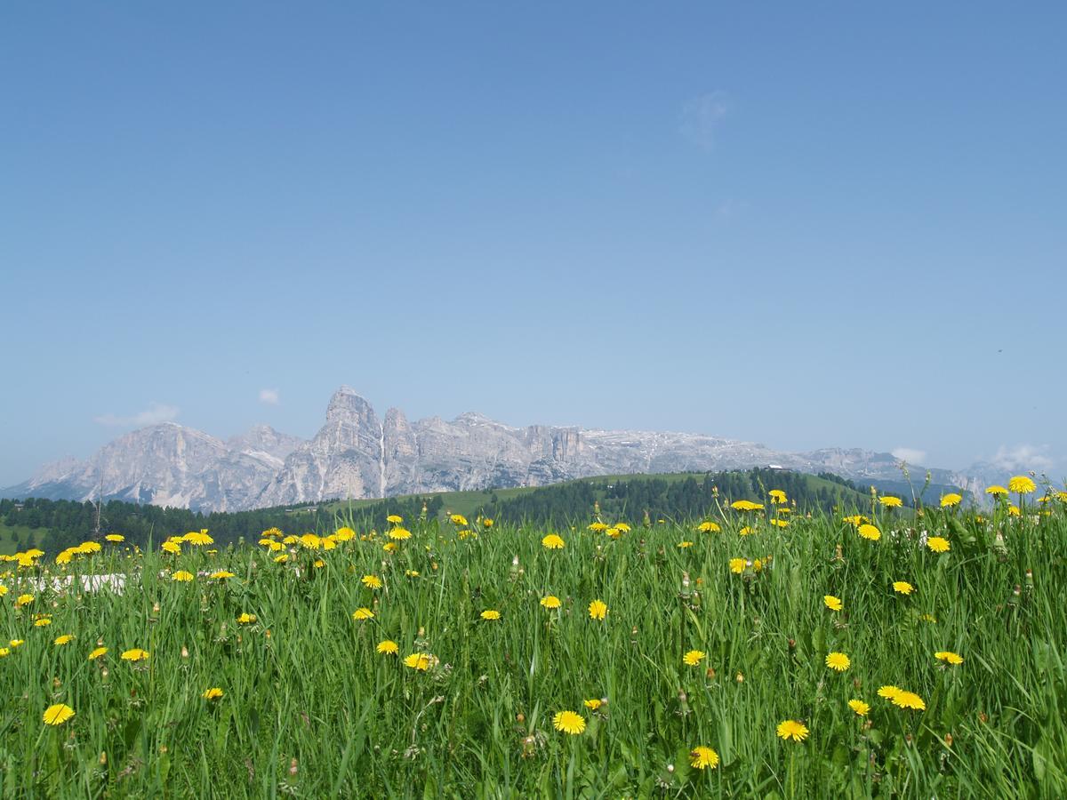 Residence Vajolet San Cassiano San Cassiano  Zewnętrze zdjęcie