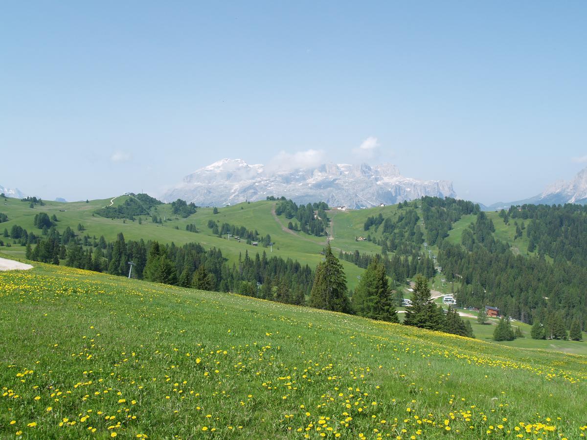 Residence Vajolet San Cassiano San Cassiano  Zewnętrze zdjęcie